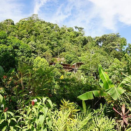 Lookout Inn Beach Rain-Forest Eco Lodge Carate Luaran gambar