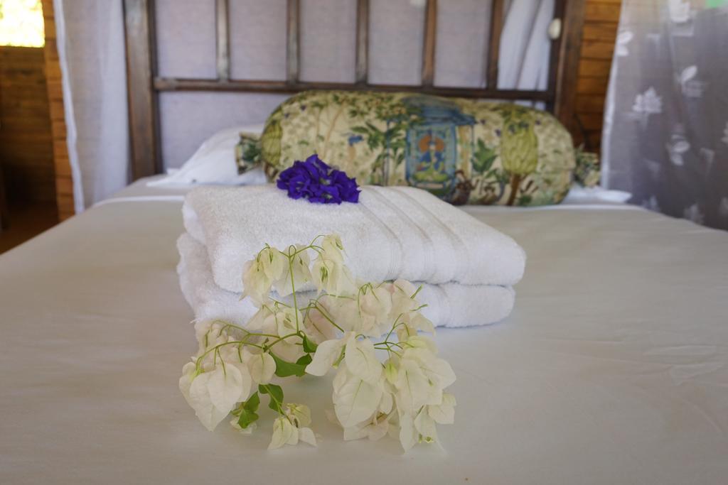 Lookout Inn Beach Rain-Forest Eco Lodge Carate Luaran gambar