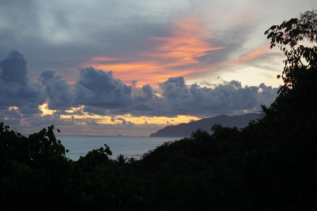 Lookout Inn Beach Rain-Forest Eco Lodge Carate Luaran gambar