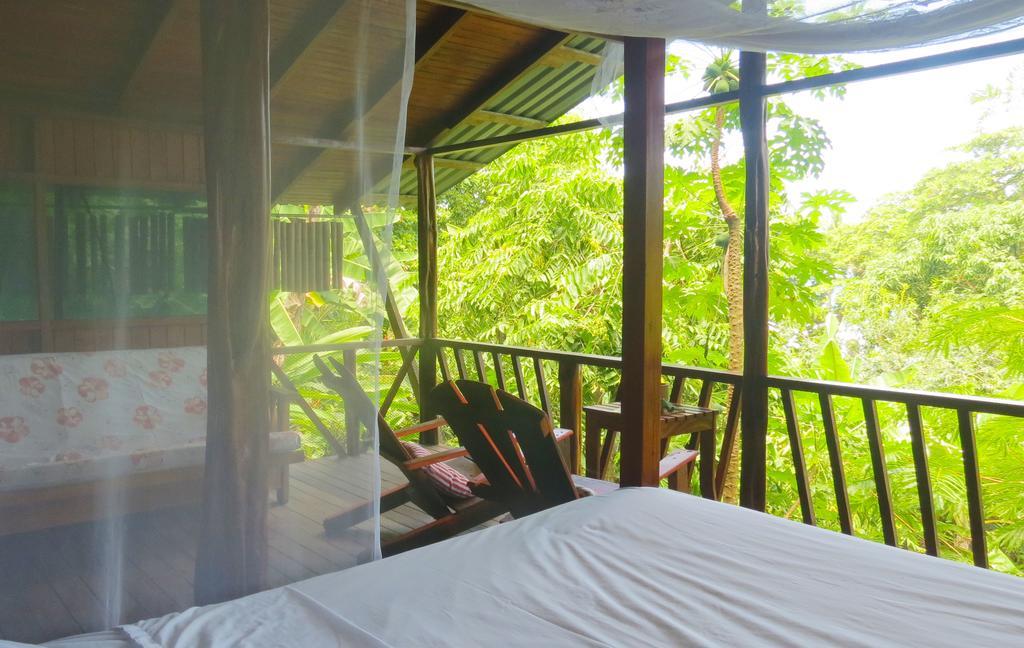Lookout Inn Beach Rain-Forest Eco Lodge Carate Luaran gambar
