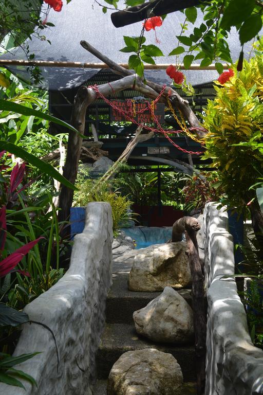Lookout Inn Beach Rain-Forest Eco Lodge Carate Luaran gambar