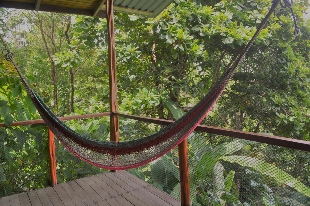 Lookout Inn Beach Rain-Forest Eco Lodge Carate Luaran gambar