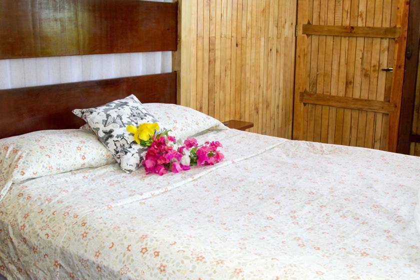 Lookout Inn Beach Rain-Forest Eco Lodge Carate Luaran gambar